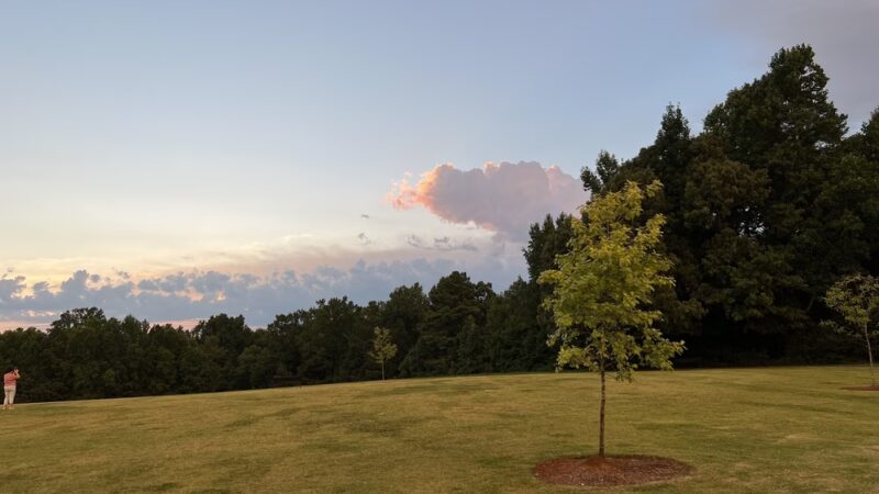 Caney Creek Preserve - Cumming, GA