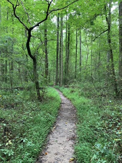 Caney Creek Preserve - Cumming, GA
