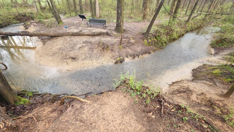 Caney Creek Preserve - Cumming, GA