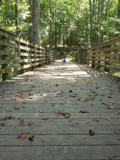 Caney Creek Preserve - Cumming, GA