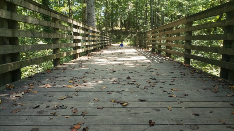 Caney Creek Preserve - Cumming, GA