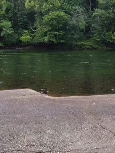 Lower Pool West - Cumming, GA