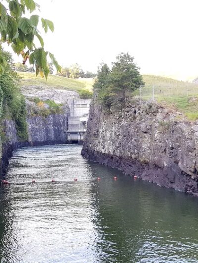 Lower Pool West - Cumming, GA