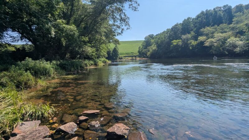 Lower Pool West - Cumming, GA