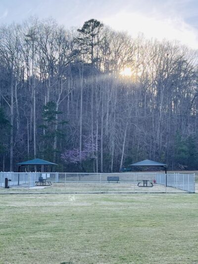 Windermere Dog Park - Cumming, GA