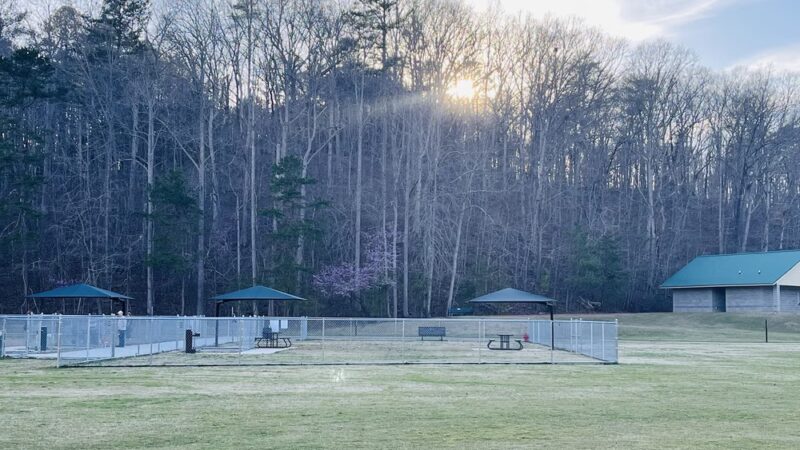 Windermere Dog Park - Cumming, GA