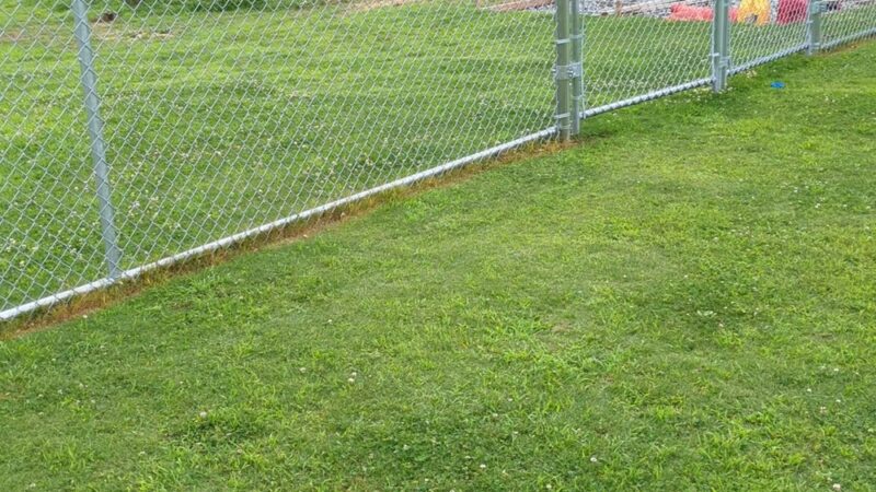 Windermere Dog Park - Cumming, GA