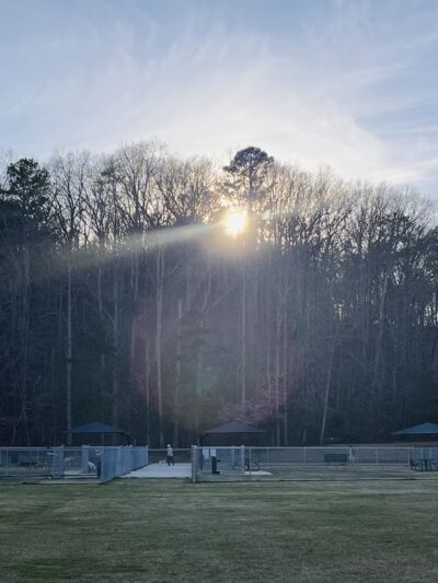 Windermere Dog Park - Cumming, GA
