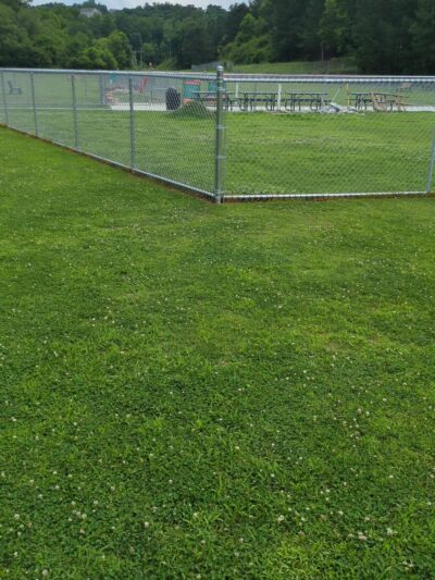 Windermere Dog Park - Cumming, GA