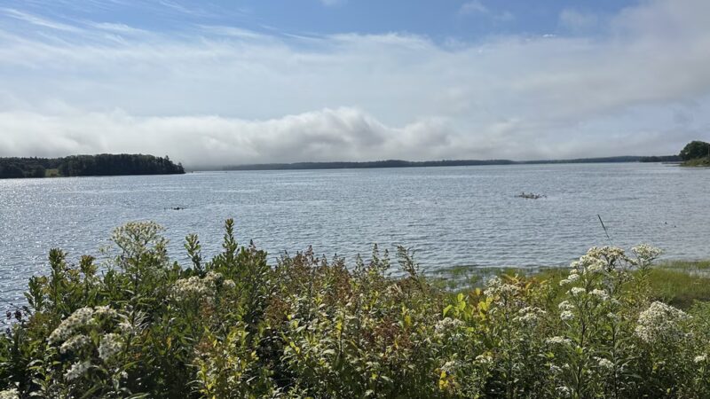 Good Neighbors Park - Cushing, ME