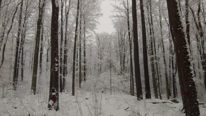 Custer City - Custer City, PA