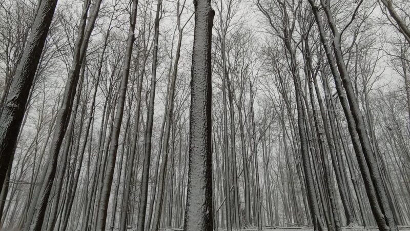 Custer City - Custer City, PA