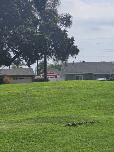 Cypress Park - Cypress, CA