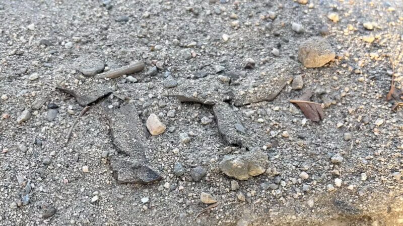 Evergreen Park - Cypress, CA