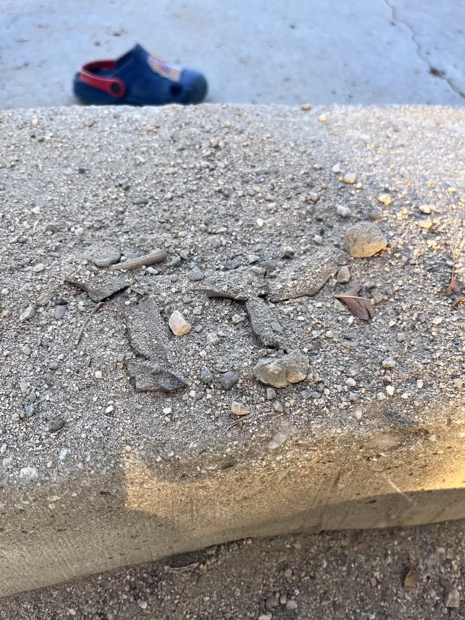 Evergreen Park - Cypress, CA