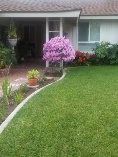 Laurel Park - Cypress, CA