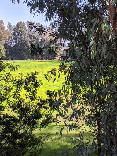 Nature Park - Cypress, CA