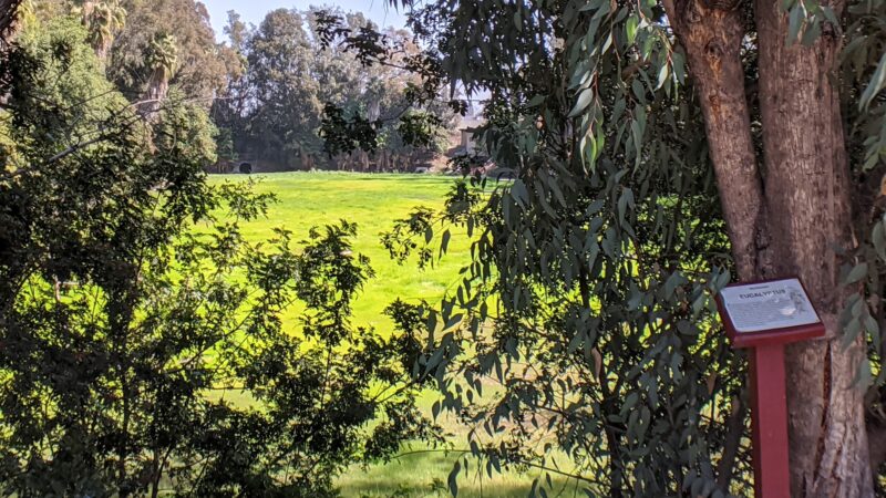 Nature Park - Cypress, CA