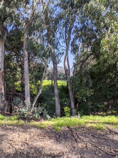Nature Park - Cypress, CA