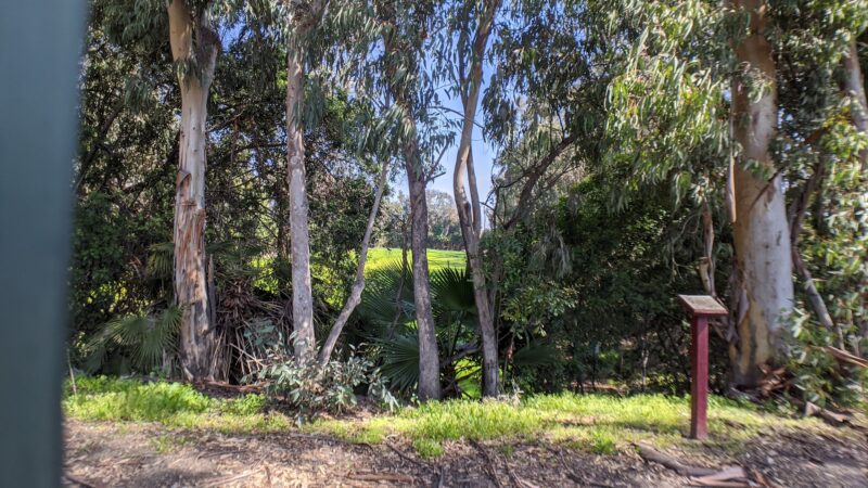 Nature Park - Cypress, CA