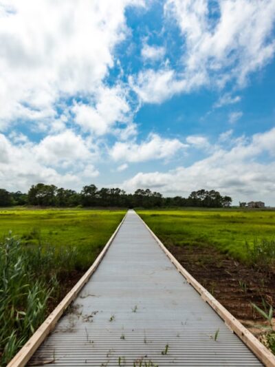 Holts Landing State Park - Dagsboro, DE