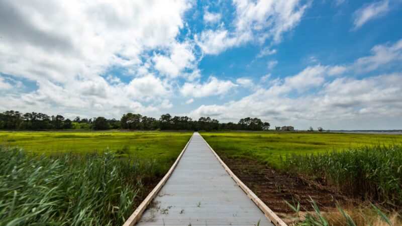 Holts Landing State Park - Dagsboro, DE