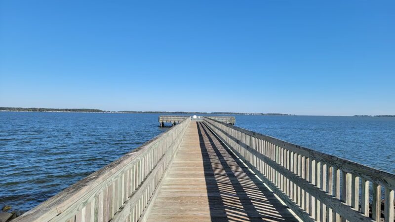 Holts Landing State Park - Dagsboro, DE