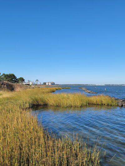 Holts Landing State Park - Dagsboro, DE