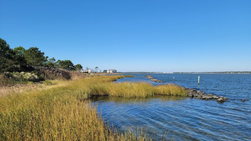 Holts Landing State Park - Dagsboro, DE