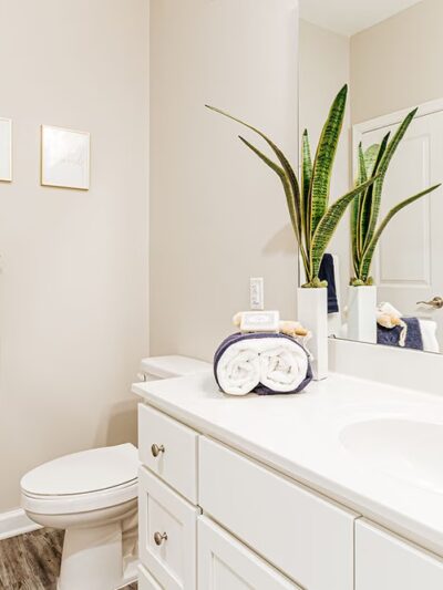 Reserve at Daleville - Daleville, VA