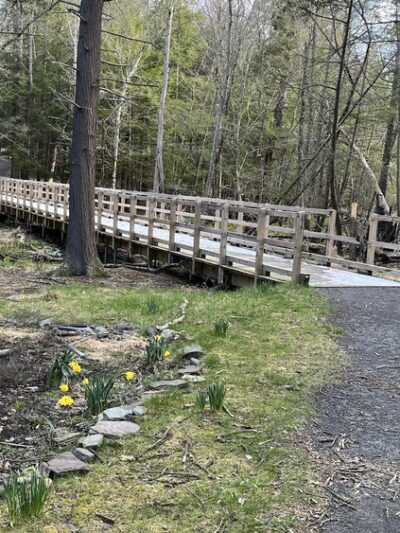 Back Mountain Trail - Judith & David Rimple Loop Trail - Dallas, PA