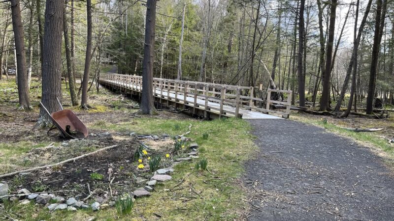Back Mountain Trail - Judith & David Rimple Loop Trail - Dallas, PA