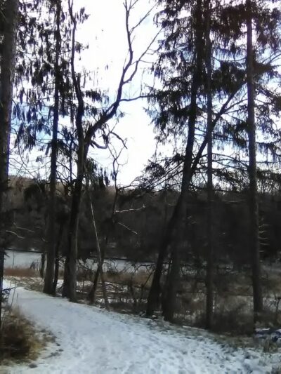 Back Mountain Trail - Judith & David Rimple Loop Trail - Dallas, PA