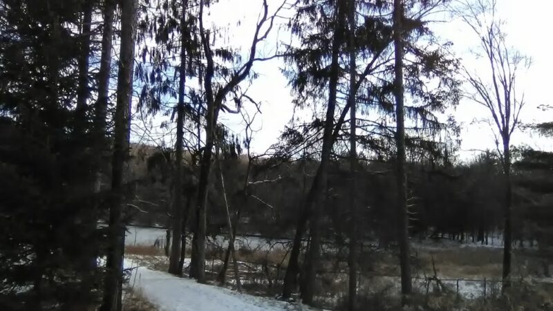 Back Mountain Trail - Judith & David Rimple Loop Trail - Dallas, PA