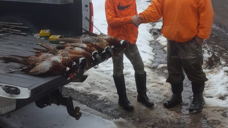 Martz's Game Farm - Dalmatia, PA