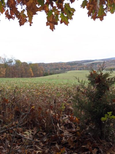 Martz's Game Farm - Dalmatia, PA