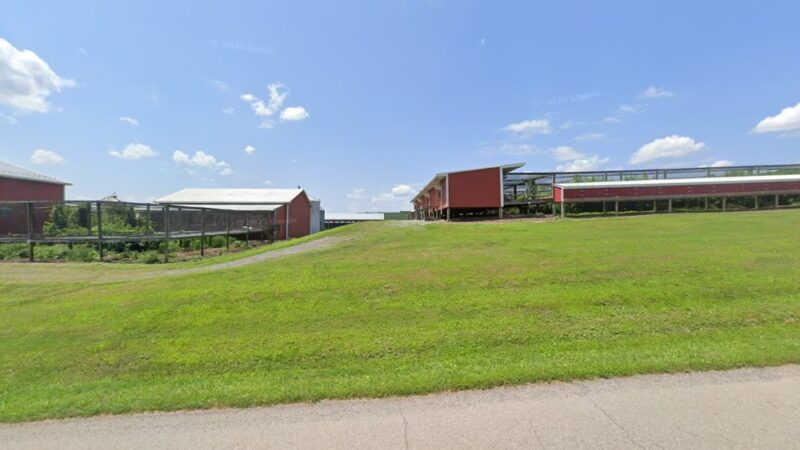 Martz's Gap View Hunting Preserve - Dalmatia, PA