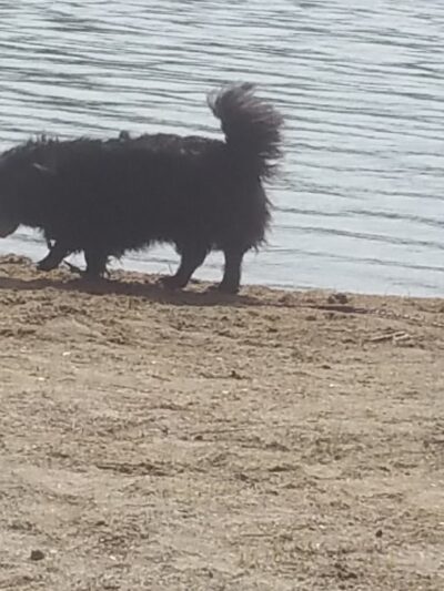 Forest Lake State Park - Dalton, NH