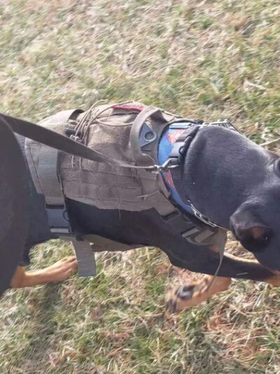 Bear Mountain Reservation - Danbury, CT