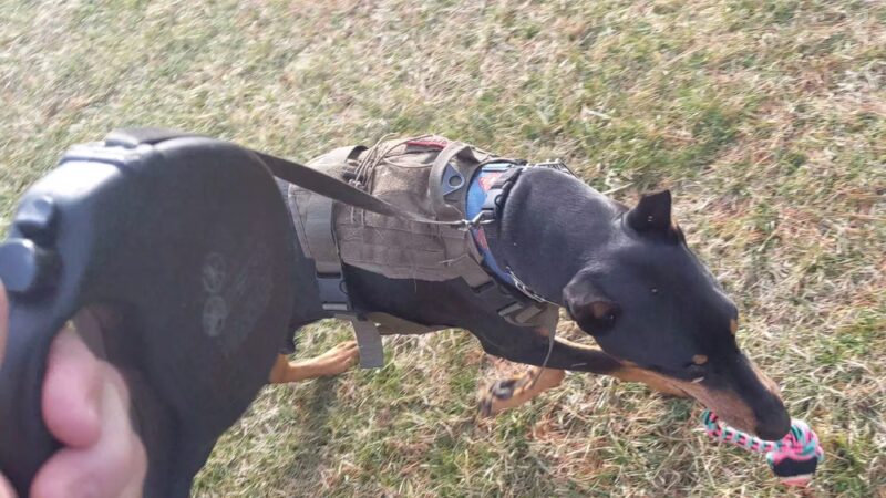 Bear Mountain Reservation - Danbury, CT