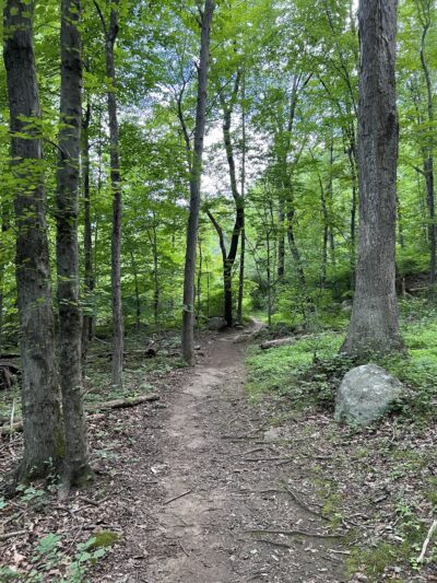 Bear Mountain Reservation - Danbury, CT