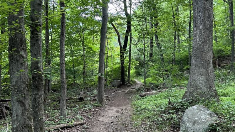 Bear Mountain Reservation - Danbury, CT
