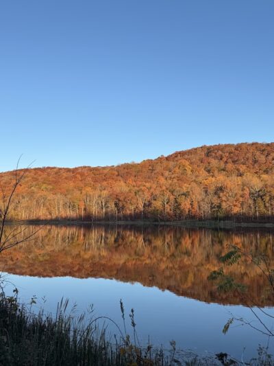 Maybrook Rail Trail - Danbury, CT