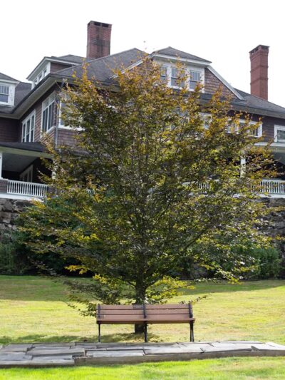 Tarrywile Park - Danbury, CT