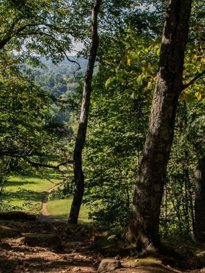 Tarrywile Park - Danbury, CT