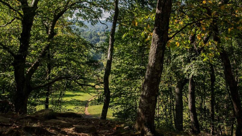 Tarrywile Park - Danbury, CT