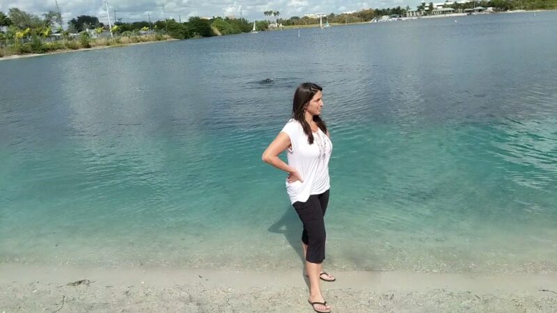 Performance Pups - Dania Beach, FL