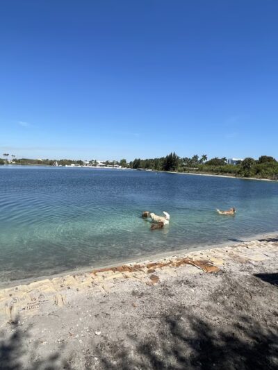 Performance Pups, Inc. - Dania Beach, FL