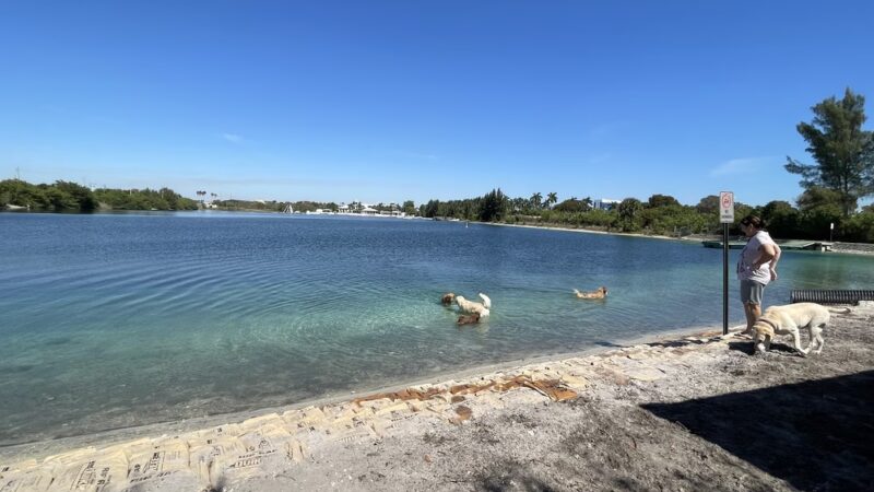 Performance Pups, Inc. - Dania Beach, FL