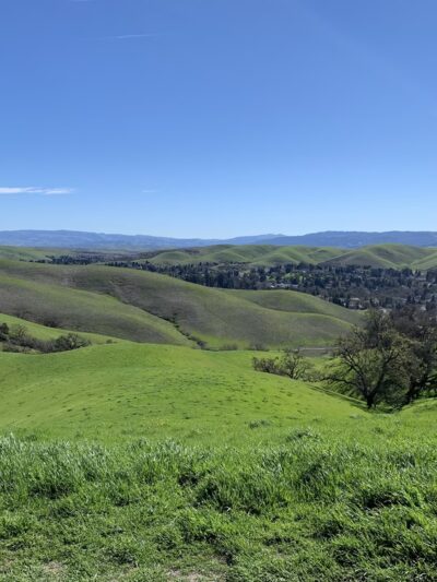 Sycamore Valley Open Space South - Danville, CA
